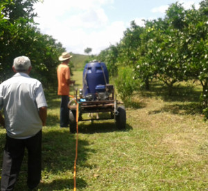 Controle biológico da mosca negra