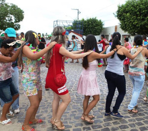 Usuários participam da folia