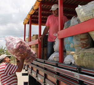 Os alimentos depois de entregues pelos produtores são contabilizados e transportados até as entidades