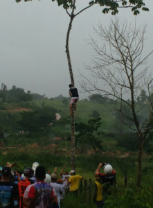 Mastro retirado no povoado Fazenda Grande