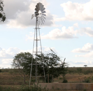 Cata-vendo instalado anexo à bebedouro para o gado