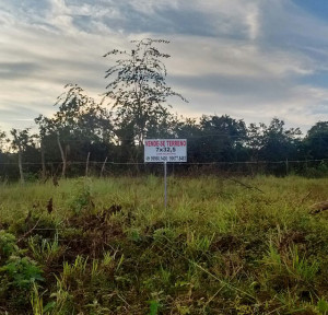 Lote de terra possui escritura