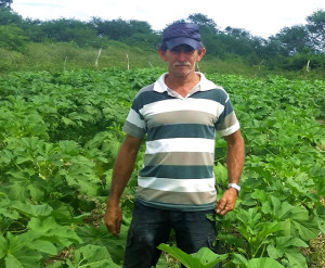 Delfino também, recebe acadêmicos de todas as faculdades agrícolas em seu lote