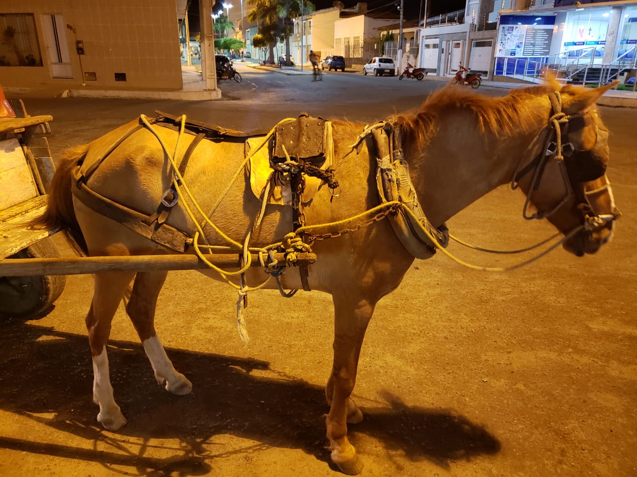 Fato registrado em Tobias - Foto: Redes Sociais 